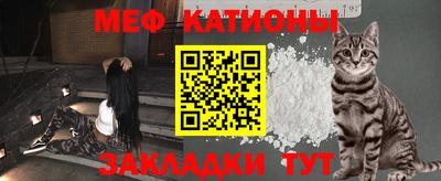 стафф Камышлов