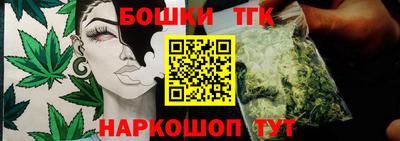 стафф Камышлов
