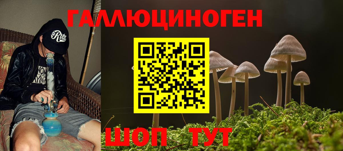 Псилоцибиновые грибы прущие грибы Дальнегорск