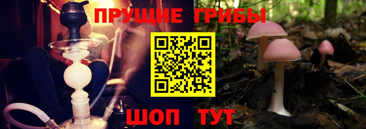 сколько стоит  Вход с VPN  Дальнегорск  Галлюциногенные грибы Cubensis 